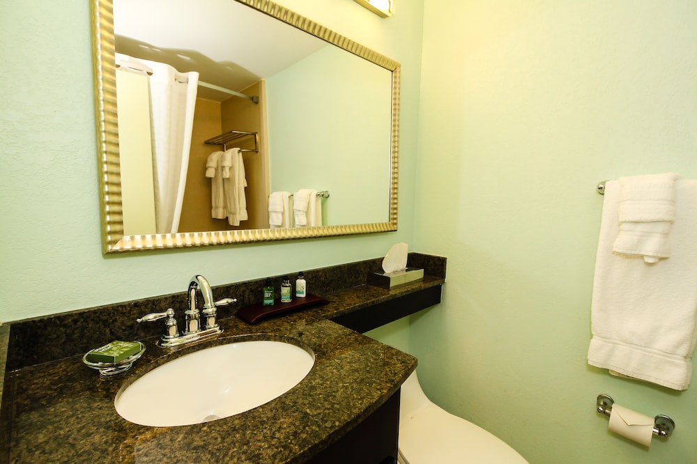 Treasure Island Hotel and Marina - photo 22