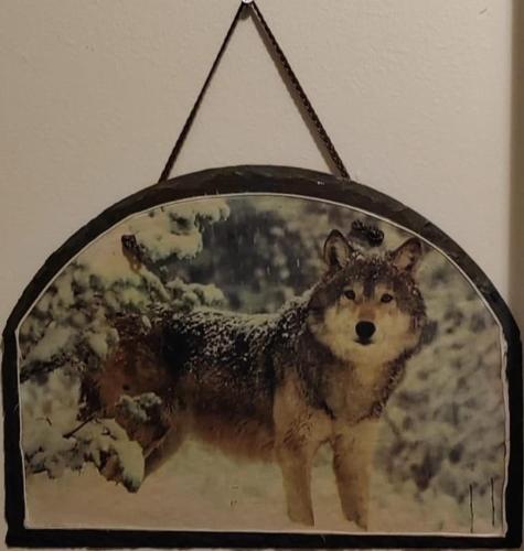 Talo Kainuun korvessa Kiekinkoskella in Kuhmo, Finland