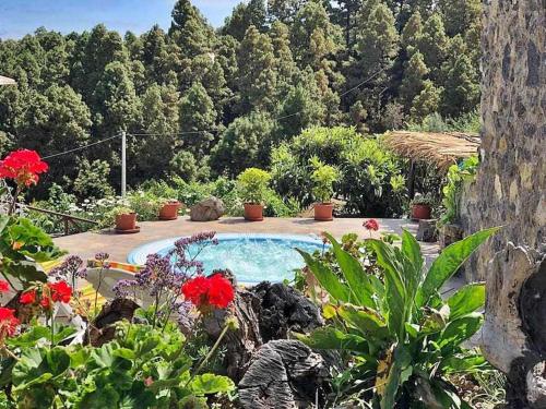 Finca los tamarillos in Santa Cruz De Tenerife, Spain