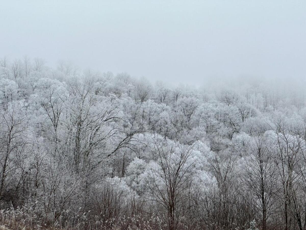 Appalachian Hideaway — Mars Hill — photo 5