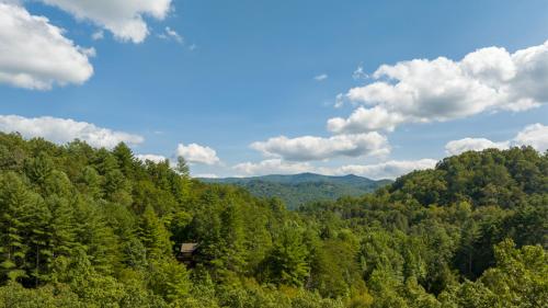 Black Bear Falls - last minute hotel in Blue Ridge