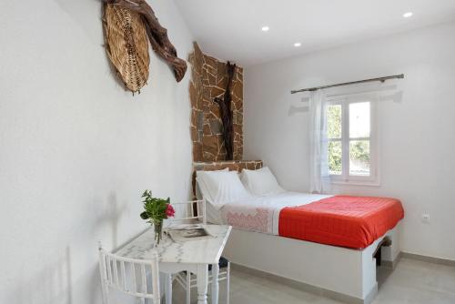 Politimis Studio N1 — Amorgos — photo 2