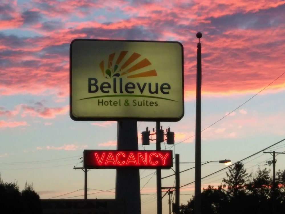 Bellevue Hotel & Suites - photo 88