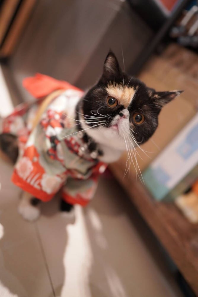 Enjoy kenting in Hengchun, Republic of China Taiwan