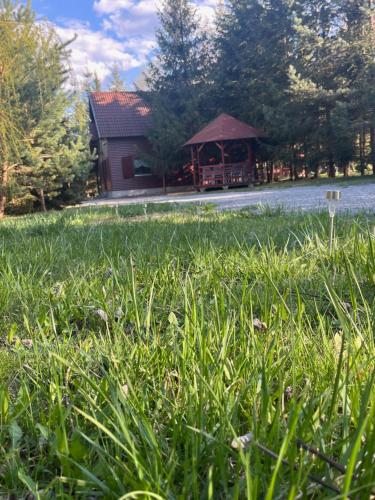 Kispatak Vendégház in Ciumani, Romania