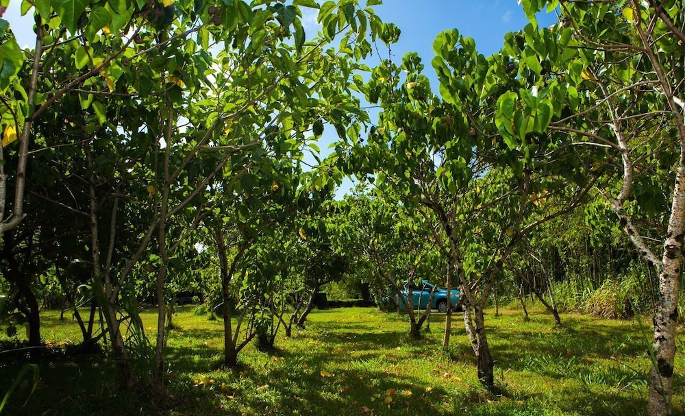 Kirpal Meditation and Ecological Center - photo 30