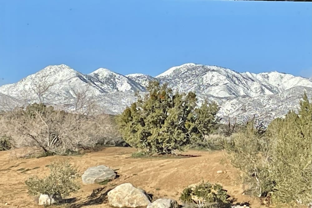 Calmada Private Resort - photo 19