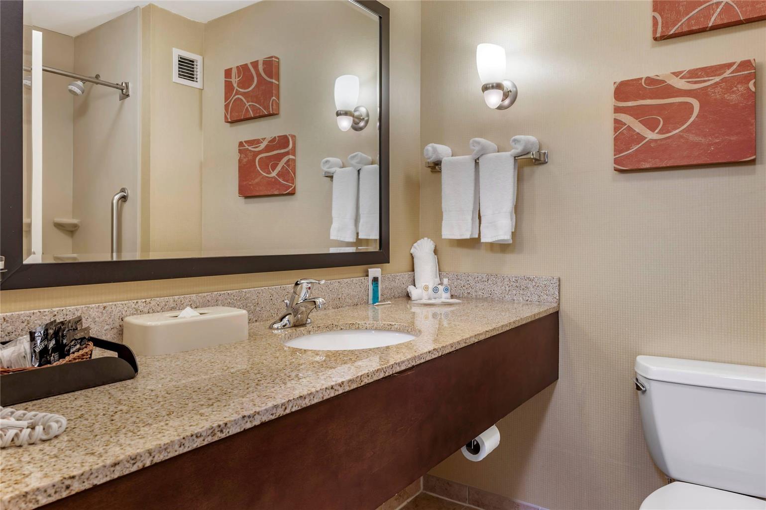 Comfort Suites Urbana Champaign University Area - photo 29