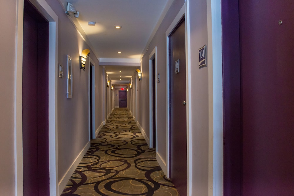 Hotel Shelley - photo 27