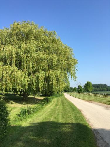 Dovecote — hotel in Chipping Campden