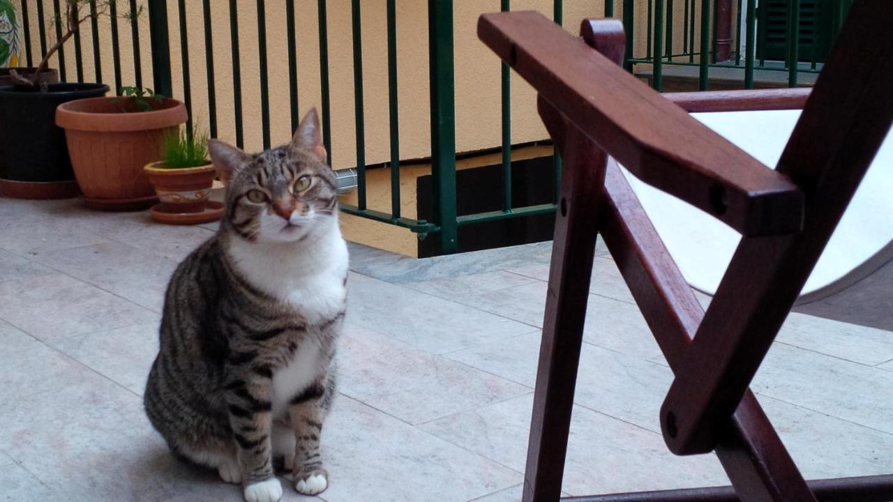 Awroom in Riomaggiore, Italy