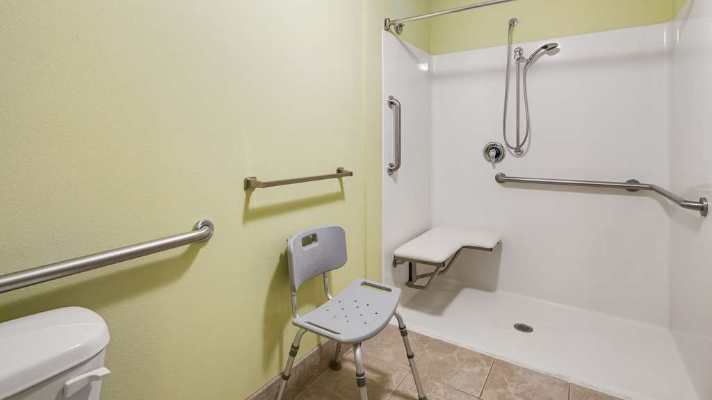 Best Western Rama Inn - photo 36