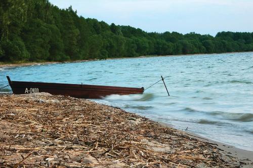Vivaldi Lake House — Alytus — photo 4