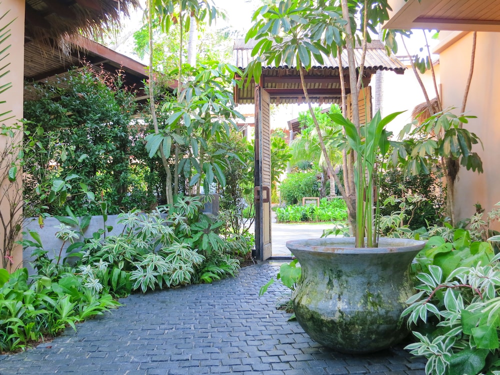 מראה חיצוני