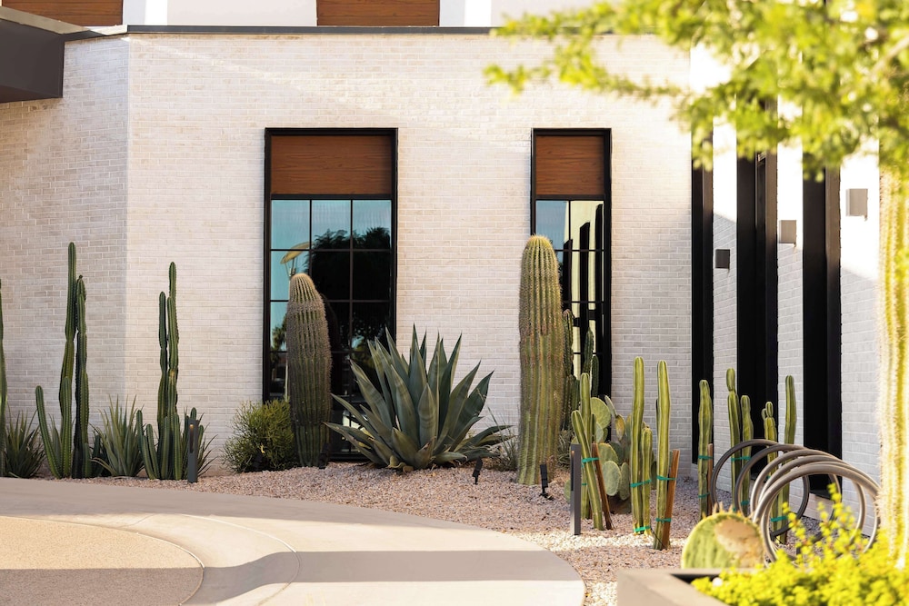 Senna House Hotel Scottsdale Curio Collection by Hilton - photo 73
