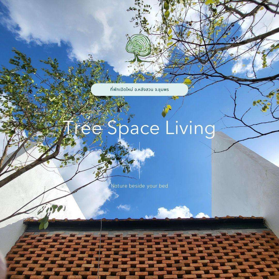 Tree Space Living — Chumphon — photo 3