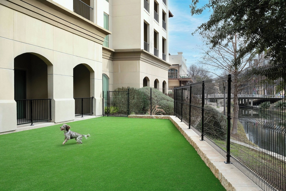 Sol Cypress San Antonio; Marriott Tribute Portfolio - photo 48