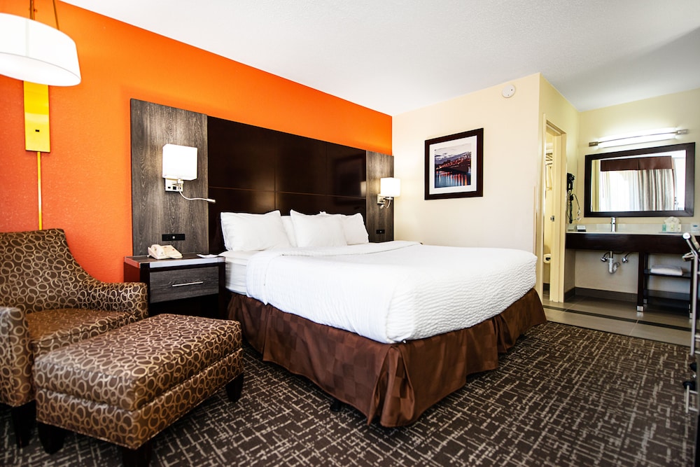New Hope Inn & Suites - photo 6