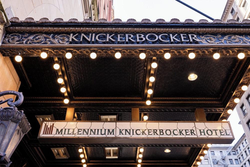 Millennium Hotel Knickerbocker Chicago - photo 138