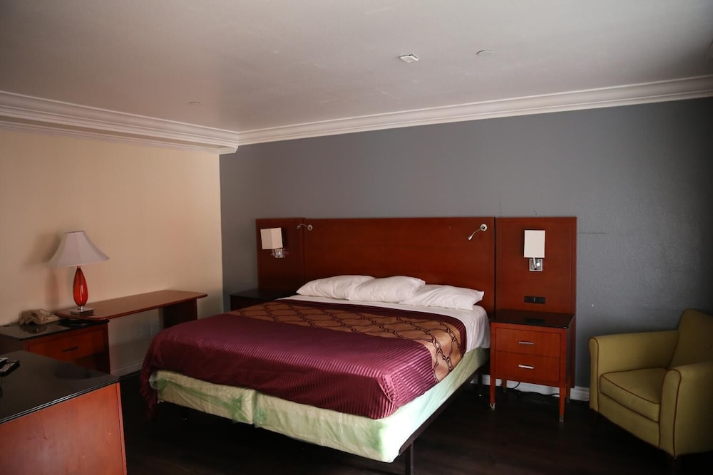 Chateau Inn and Suites - photo 16