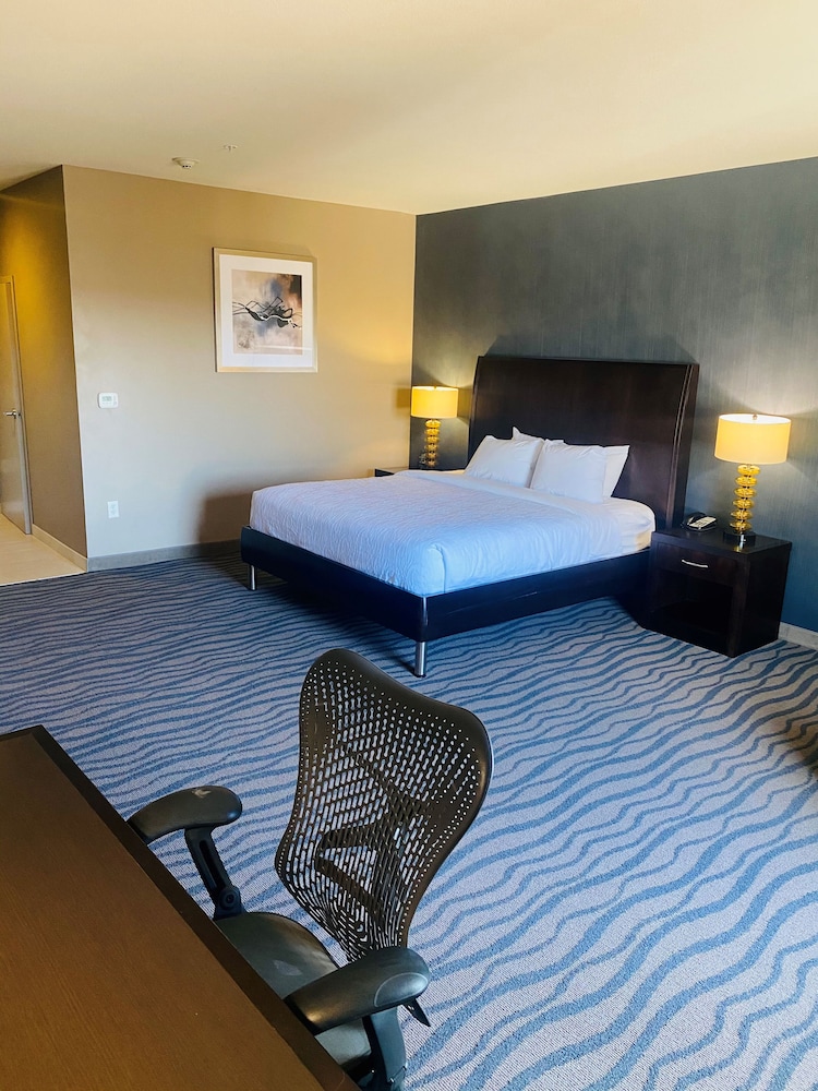 Hilton Garden Inn Fort Worth Alliance Airport - photo 17