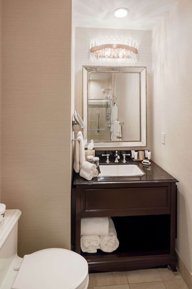 The Roosevelt New Orleans A Waldorf Astoria Hotel - photo 98