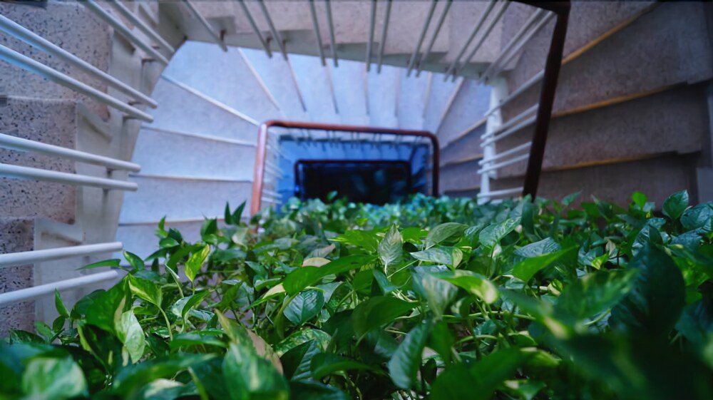 Hotel San Carlos — hotel in Barrancabermeja