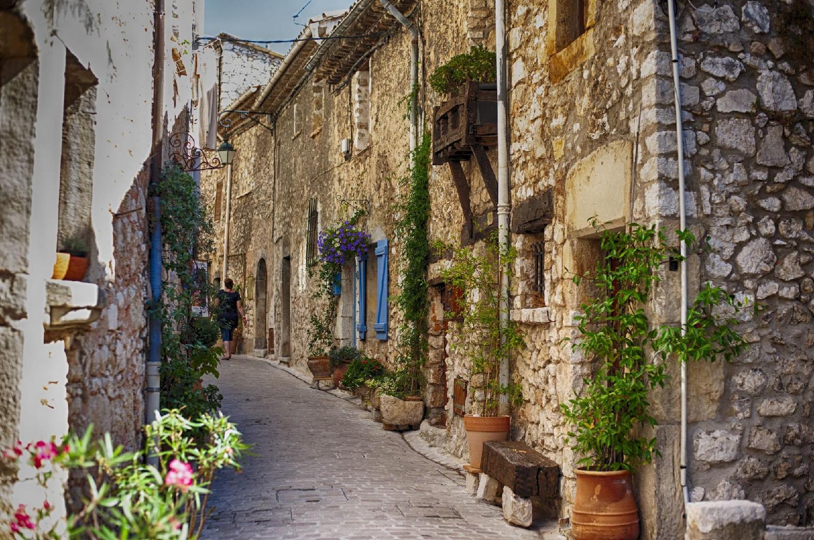 Mas des Kardouons — Vence — photo 5