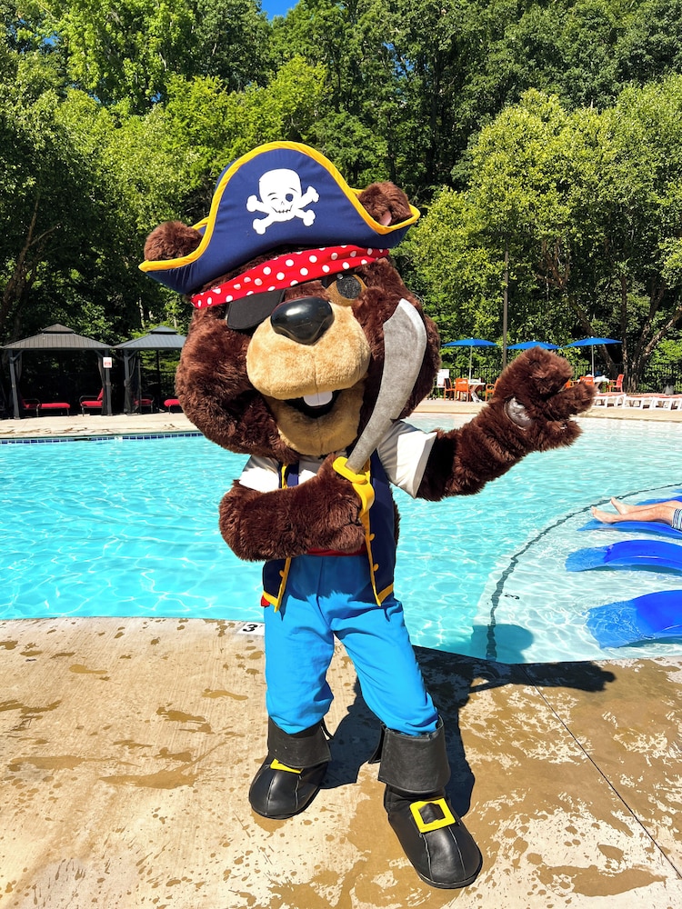 Country Cascades Waterpark Resort - photo 69