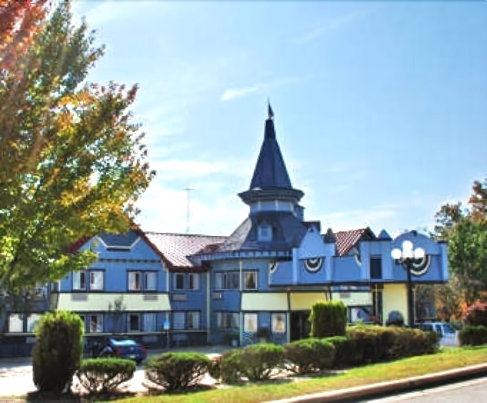 Victorian Palace - photo 29