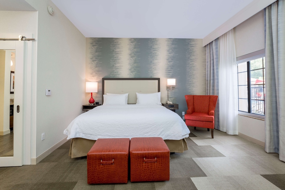 Hampton Inn Santa Barbara Goleta - photo 25