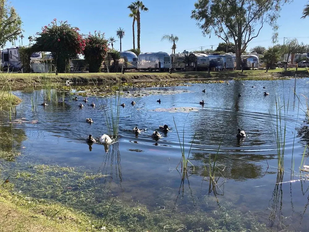 Shadow Hills RV Resort - photo 13