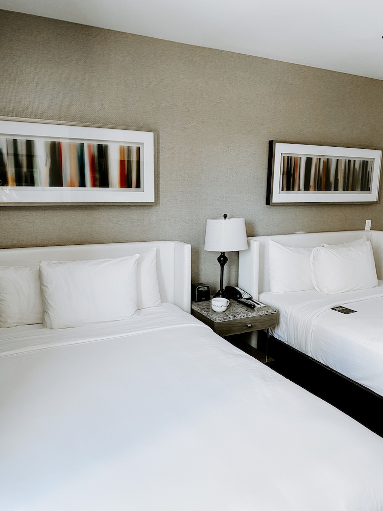 Hotel Felix River North Magnificent Mile - photo 67