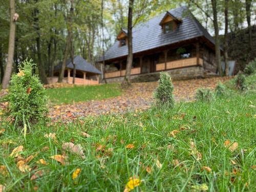 Căsuța de la vâltoare — hotel in Vadu Izei