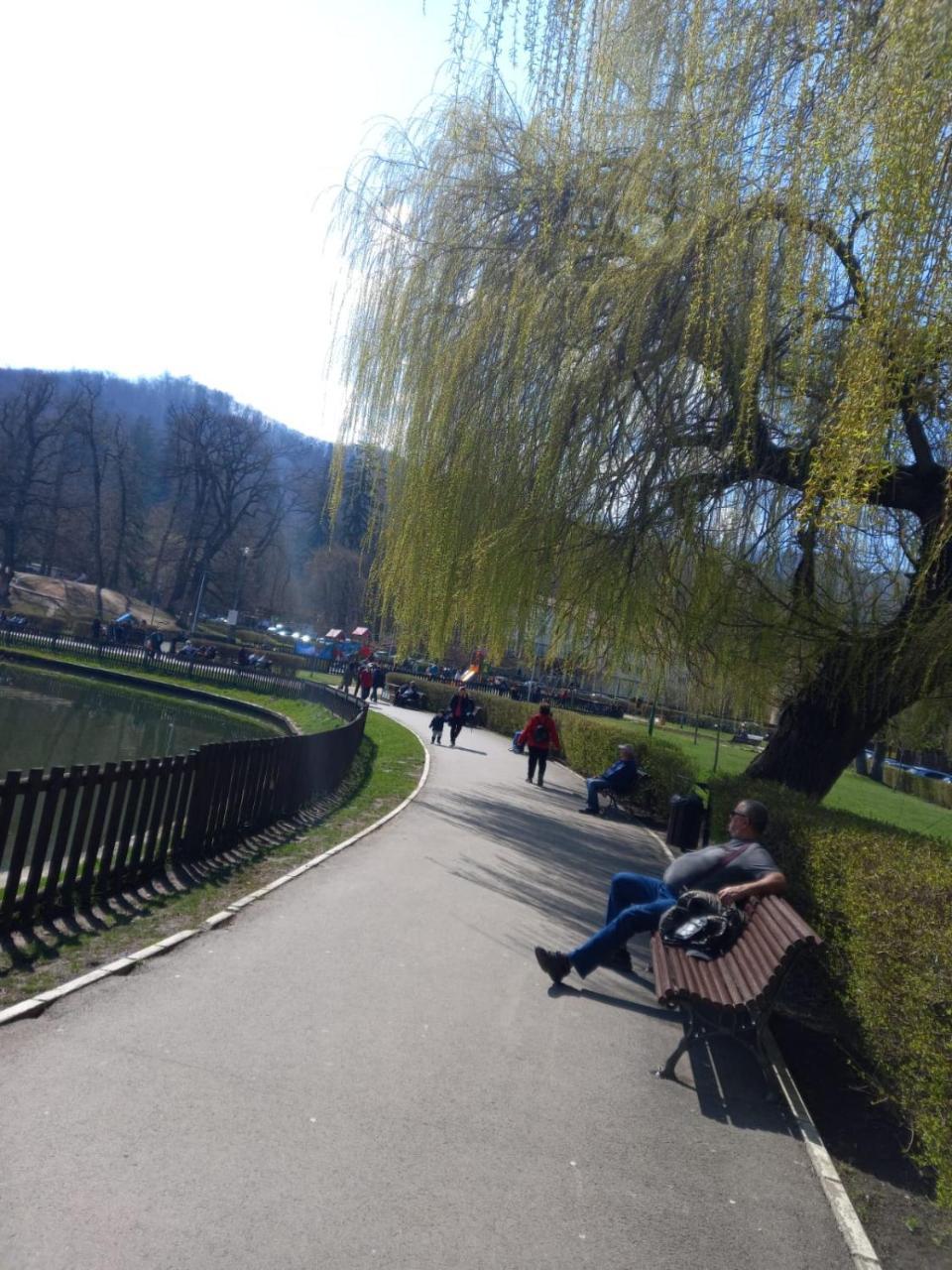 Deea&Vio Kronbau — Brasov — photo 2