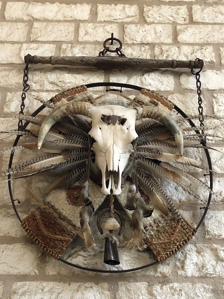 Windcrest Inn and Suites - photo 5