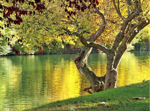 Paris Bords de Marne - last minute hotel in Unknown City