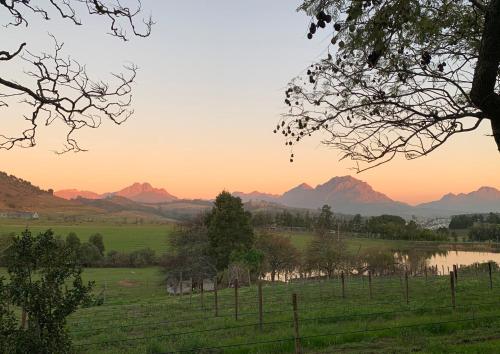 Wildlife Retreat on a Wine Farm in Stellenbosch, South Africa