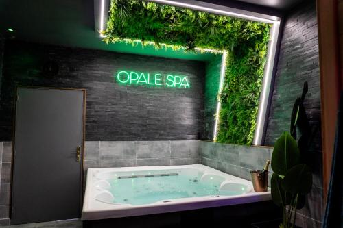 Opale SPA Jacuzzi Et Sauna Privatifs — hotel in Mons-En-Baroeul