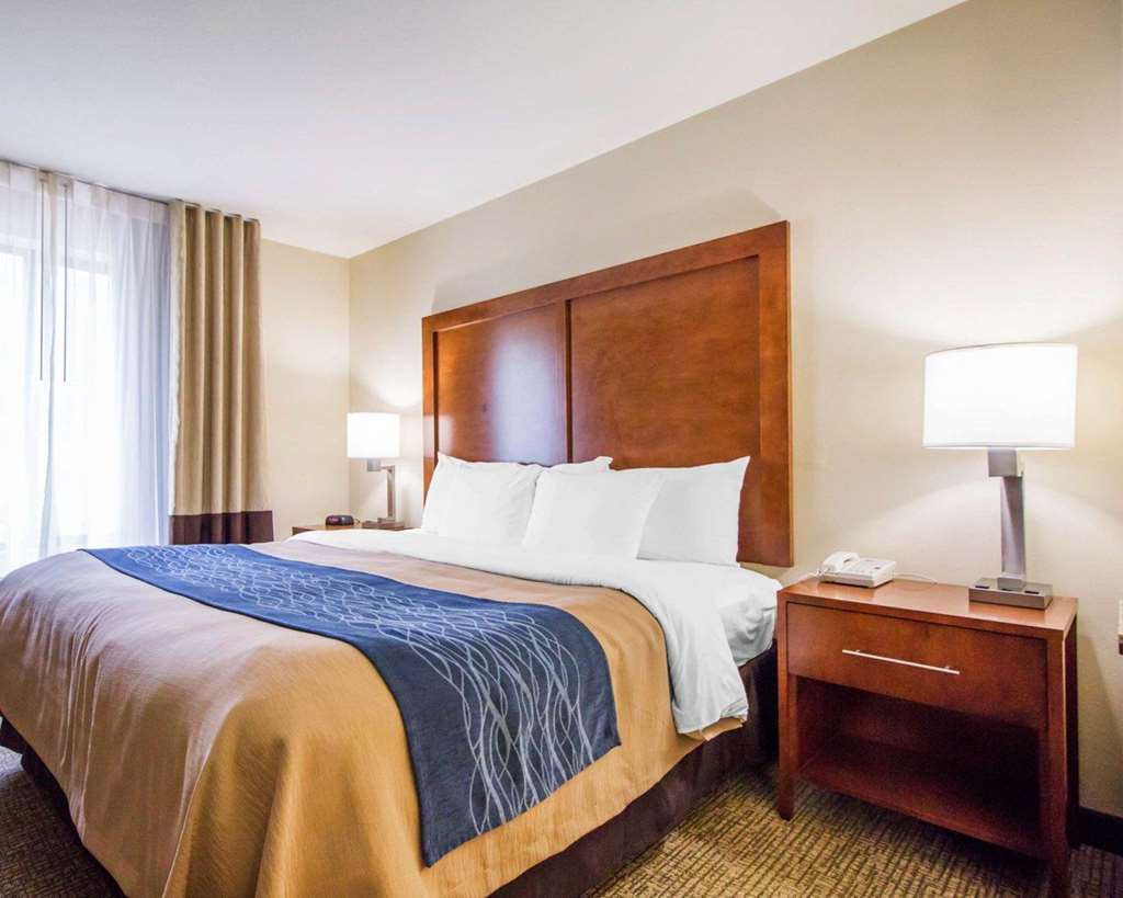 Comfort Inn & Suites Deadwood - photo 10