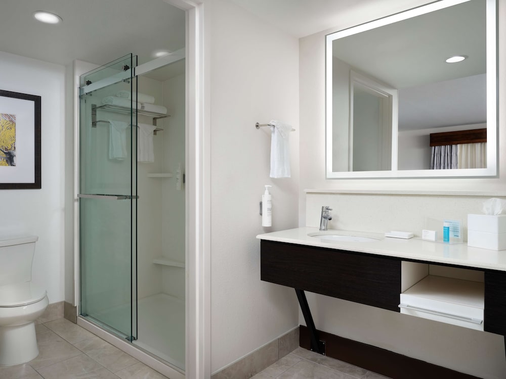 Hampton Inn & Suites Austin Downtown - photo 44