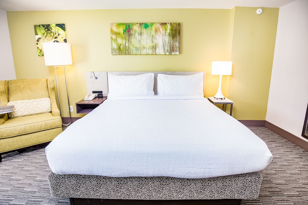 Hilton Garden Inn Orange Beach Beachfront - photo 13