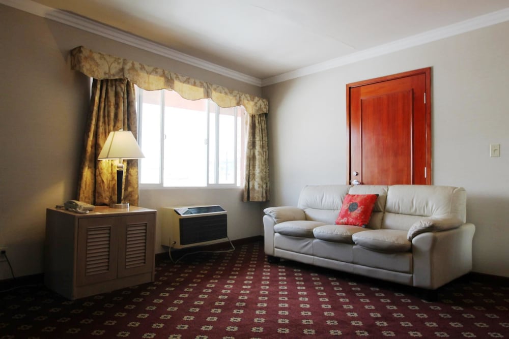 Metro Plaza Hotel - photo 19
