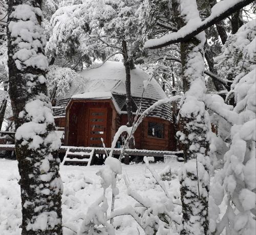 Domos Entre Bosques - last minute hotel in Unknown City