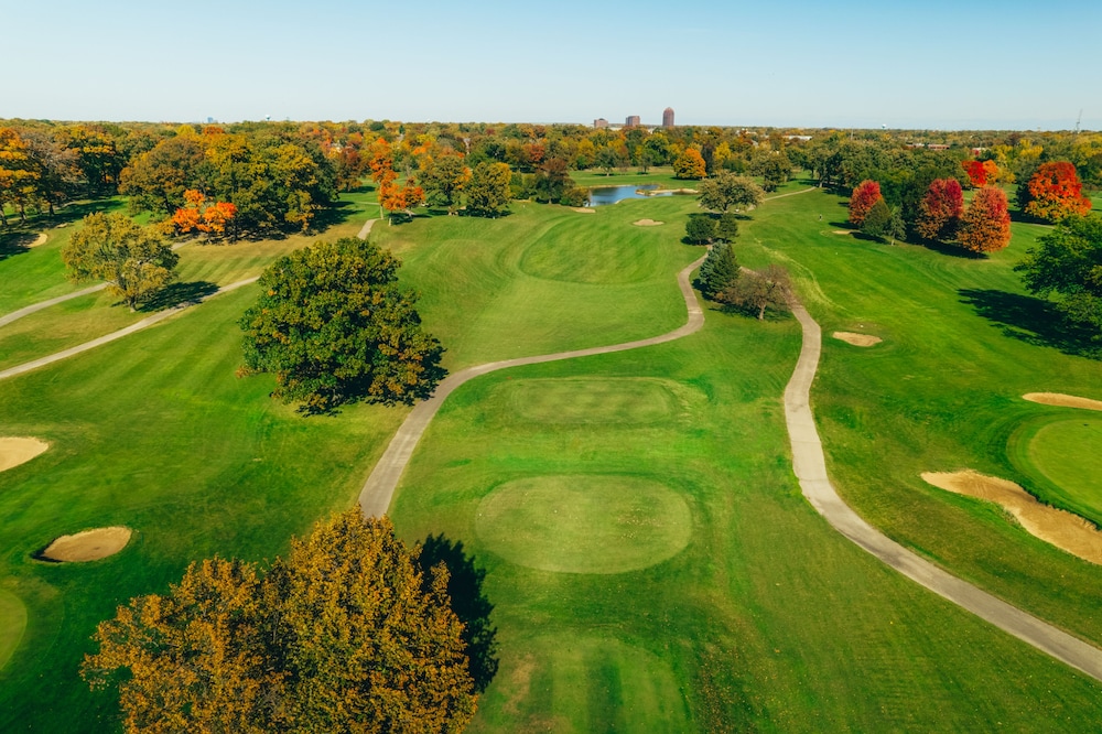 Eaglewood Resort and Spa - photo 34