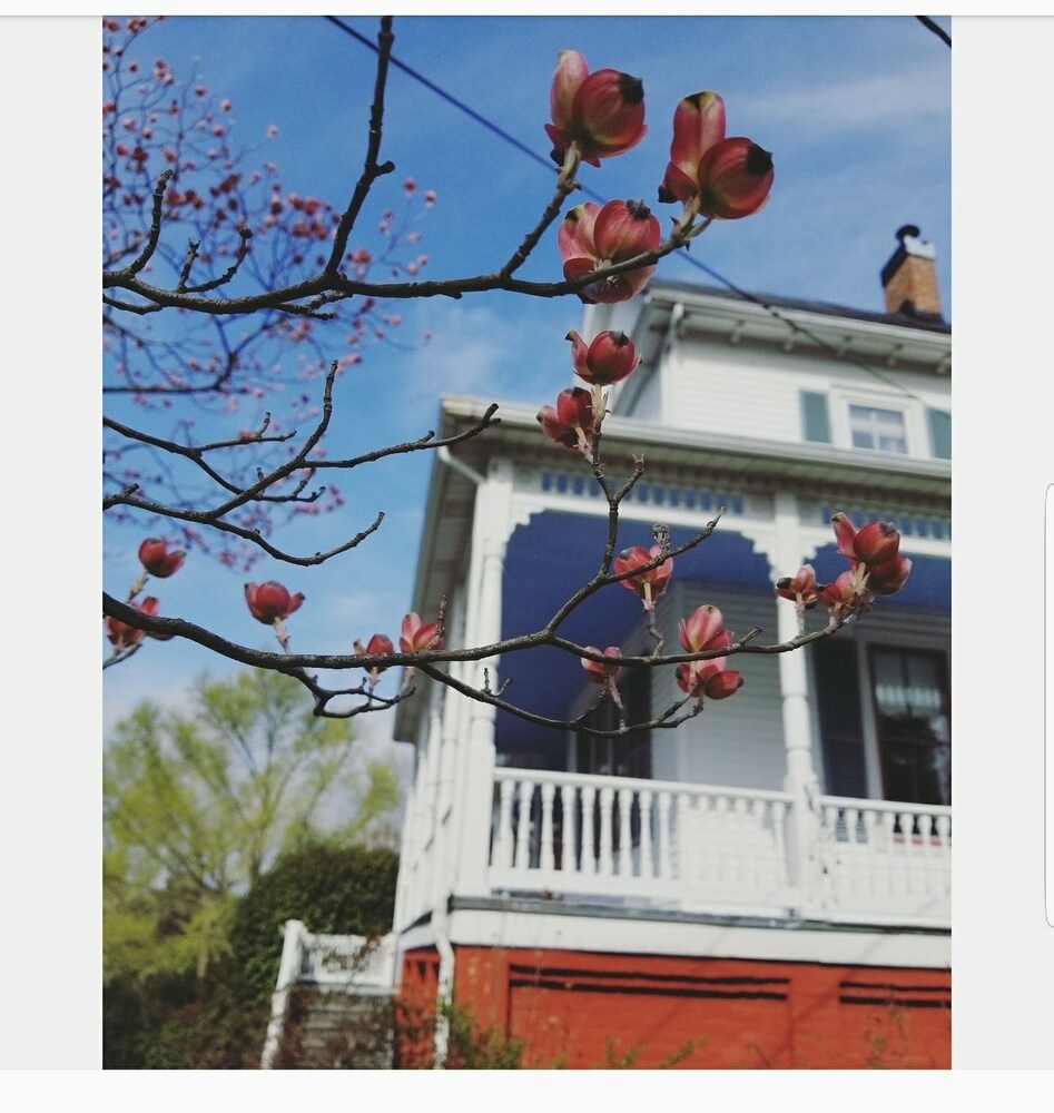 The Claiborne Bed and Breakfast - photo 44