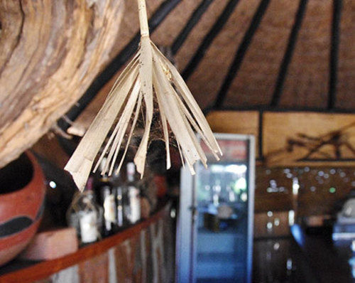 Regency Lodge Panyanda — Masvingo — photo 4