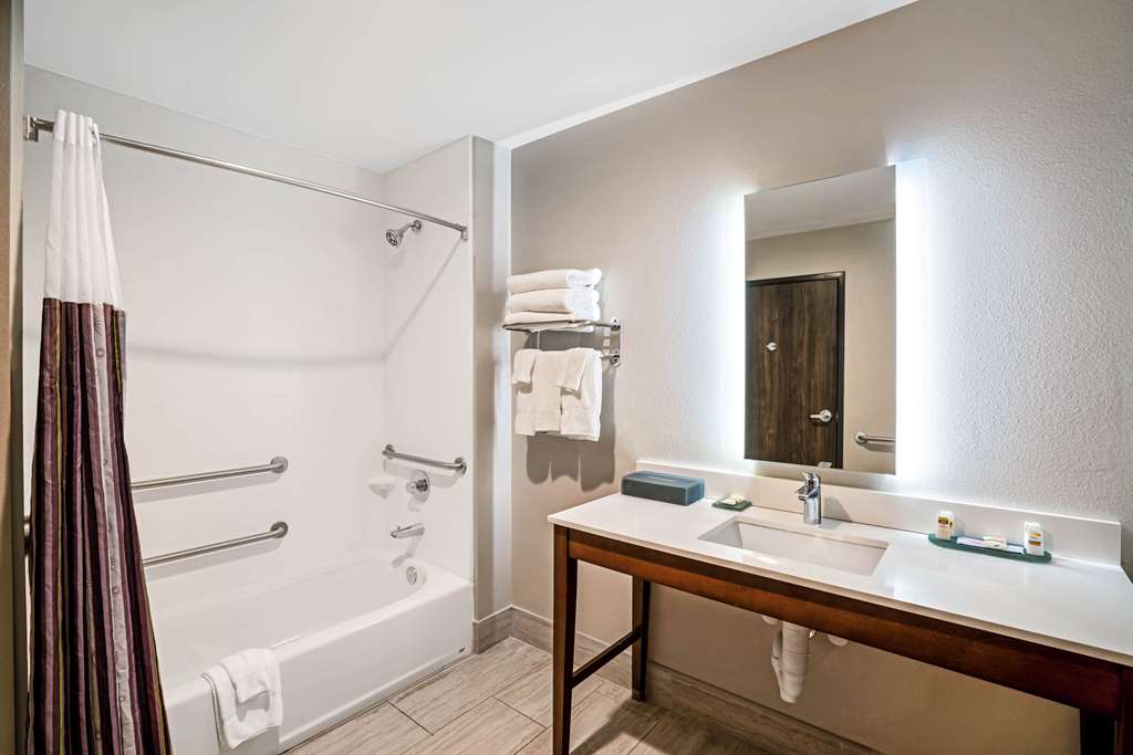 La Quinta Inn & Suites by Wyndham Tuscaloosa University - photo 11