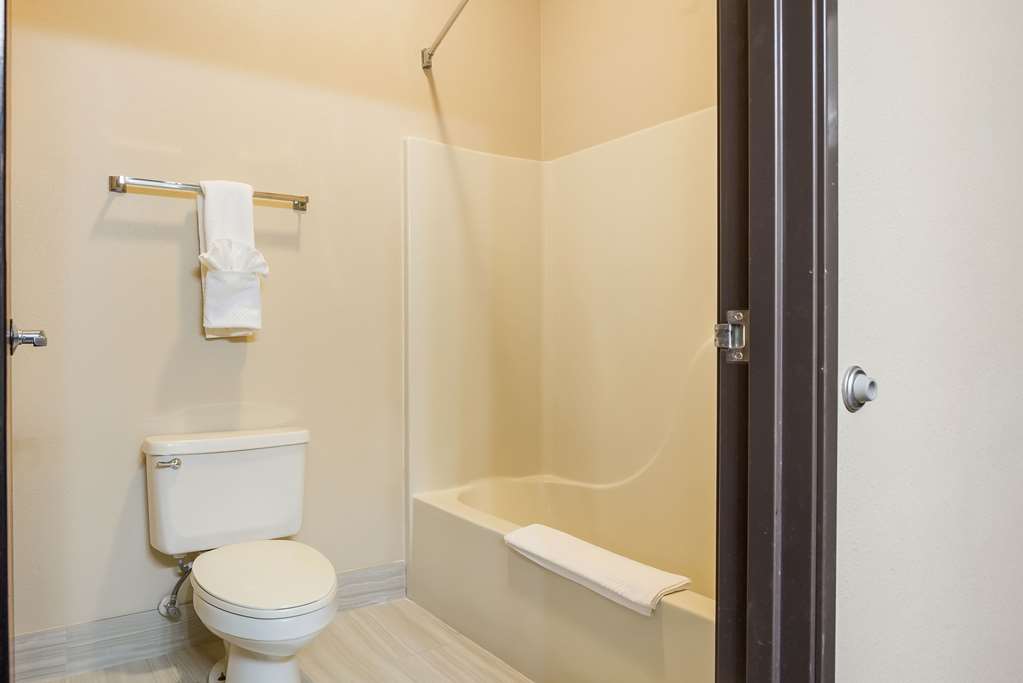 Quality Inn & Suites Caseyville St. Louis - photo 12