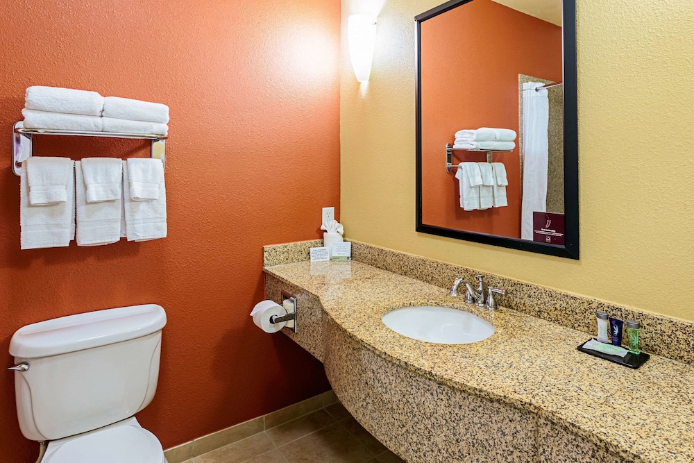 Sleep Inn & Suites Tyler South - photo 28